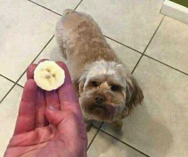 1755833382_0_img.jpeg