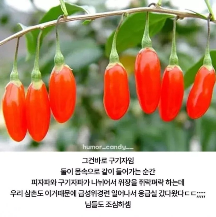 1755847203_0_img.jpeg
