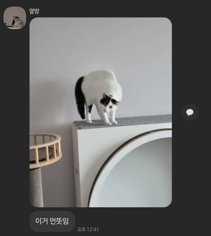1755847227_0_img.jpeg