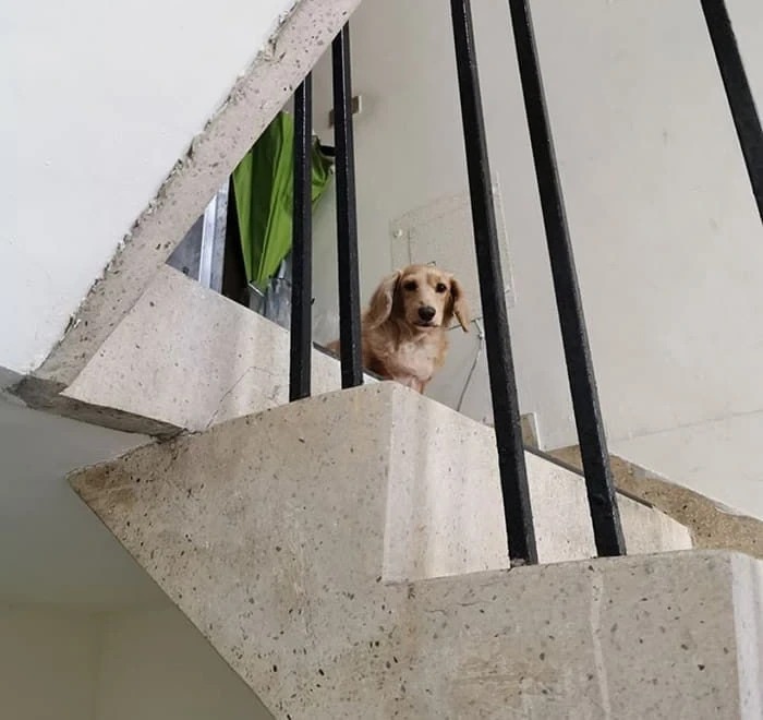 1756006366_0_img.jpeg