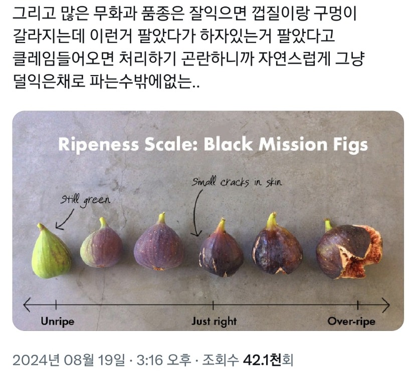1756266135_0_img.jpeg
