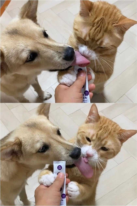 1756268419_0_img.jpeg