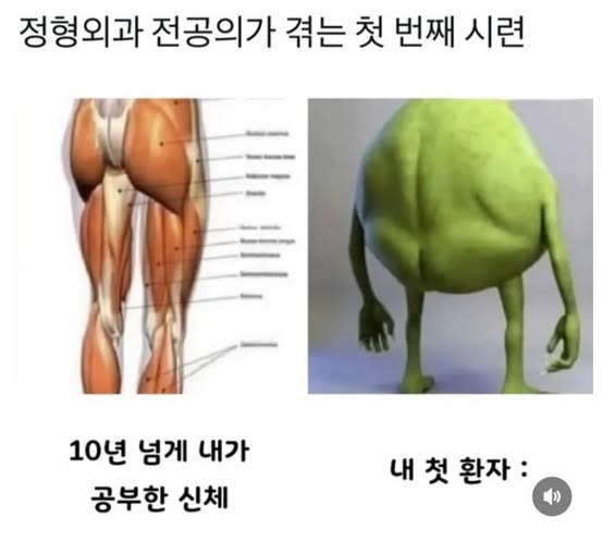 1756278688_0_img.jpeg