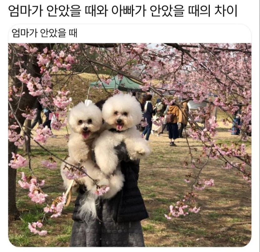 1756431496_0_img.jpeg