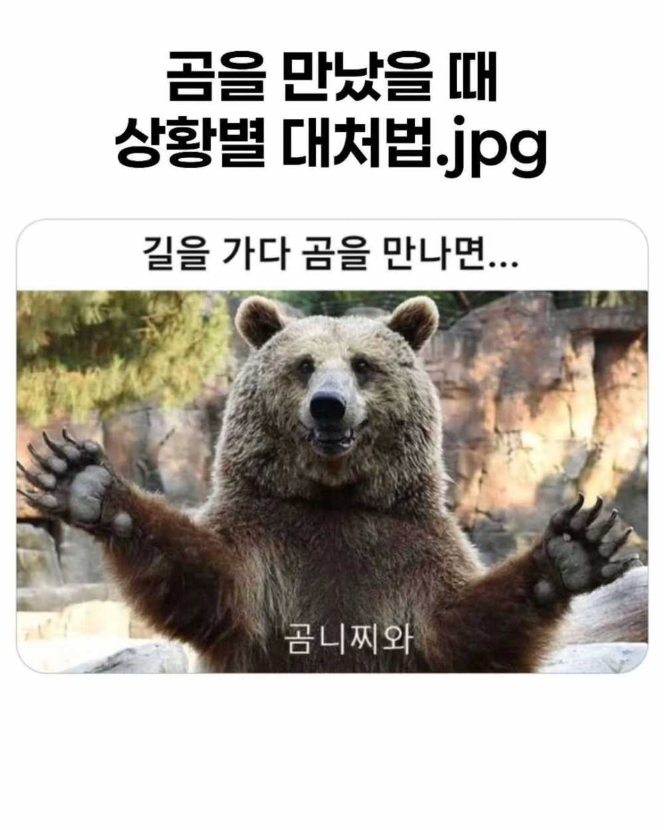 1756526791_0_img.jpeg