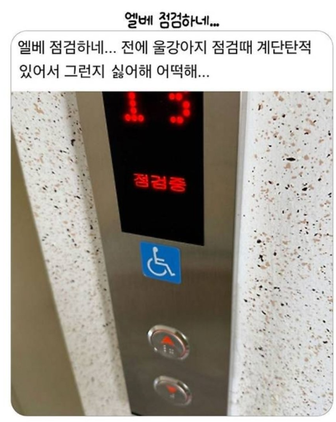 1756801856_0_img.jpeg