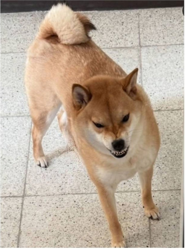 1756801888_0_img.jpeg