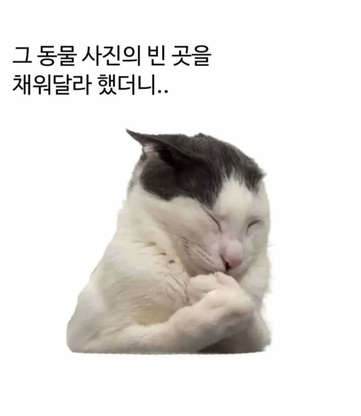 1756868576_0_img.jpeg