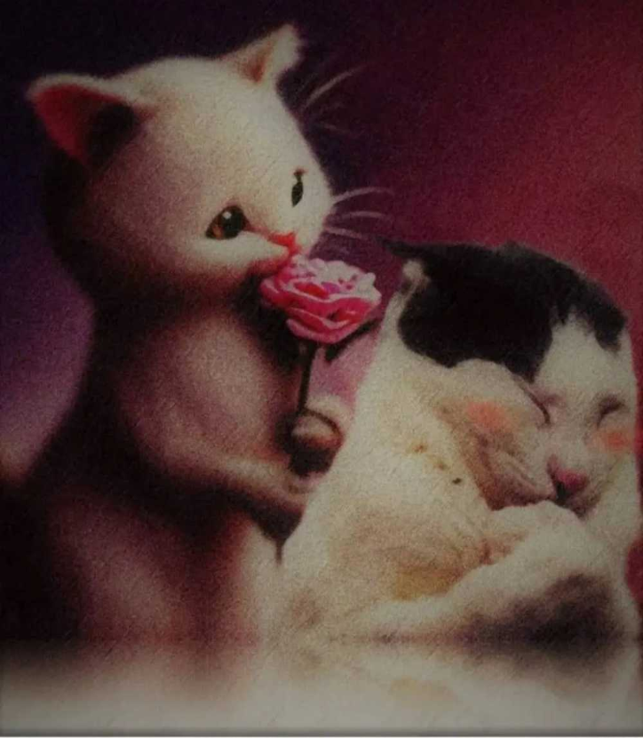 1756868608_0_img.jpeg
