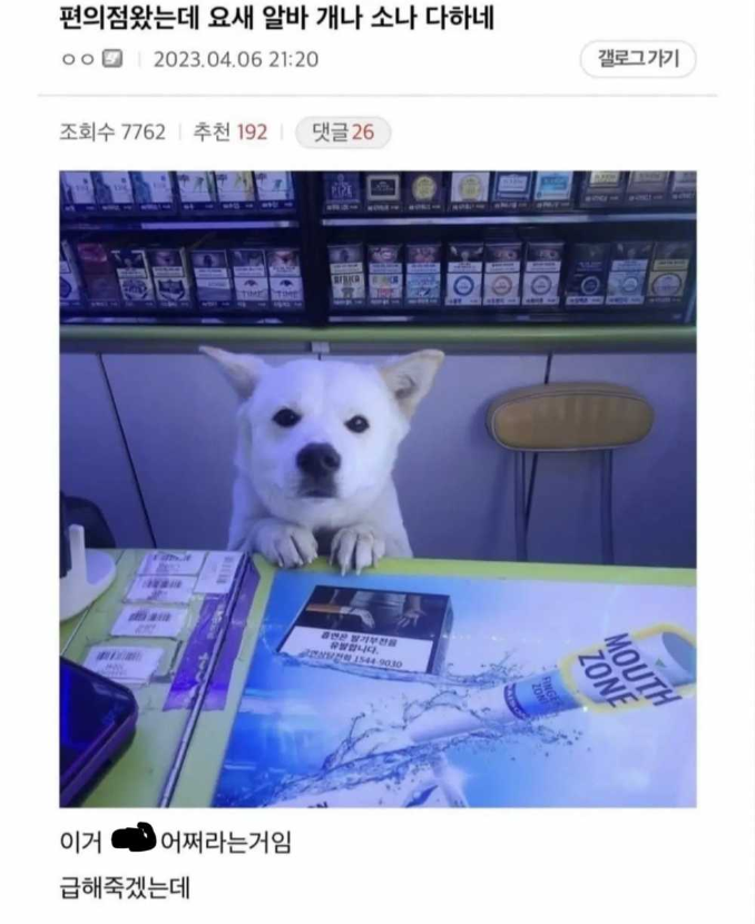 1756967117_0_img.jpeg