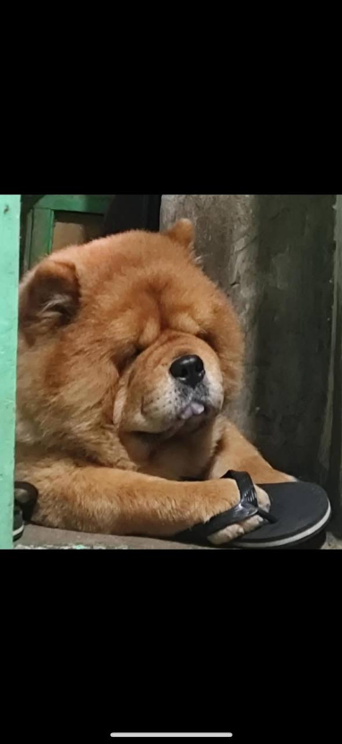 1756979888_0_img.jpeg