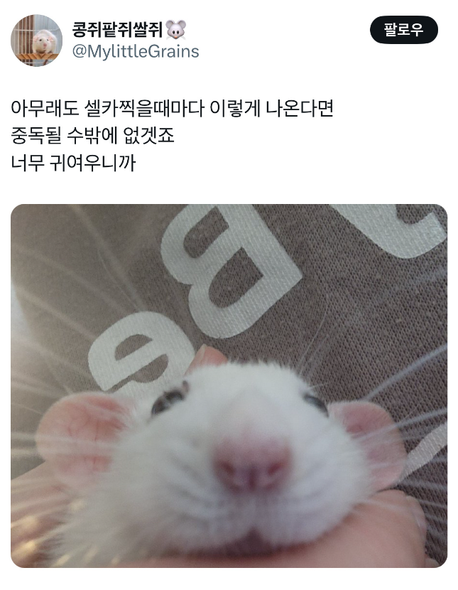 1757222260_0_img.jpeg