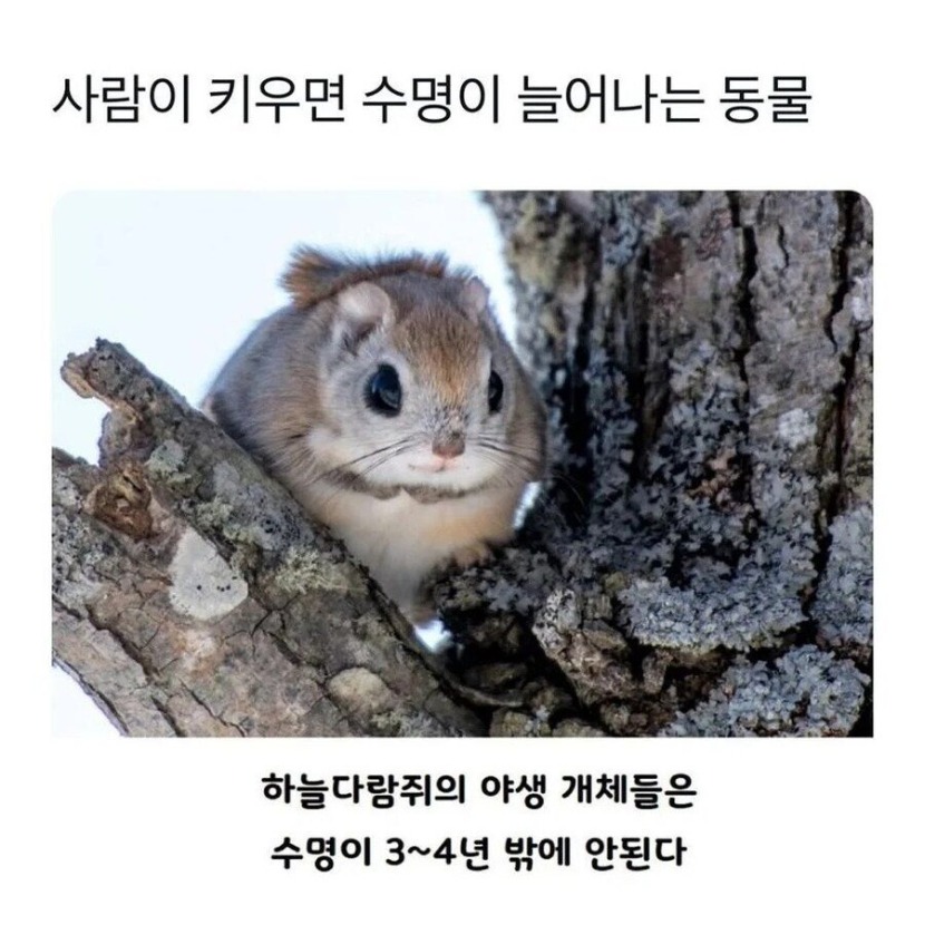 1757299082_0_img.jpeg