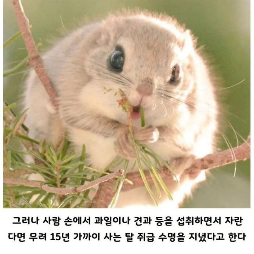 1757299090_0_img.jpeg