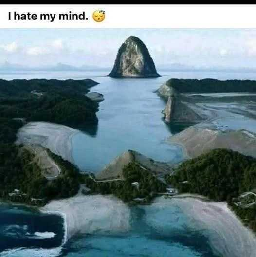 1757301907_0_img.jpeg