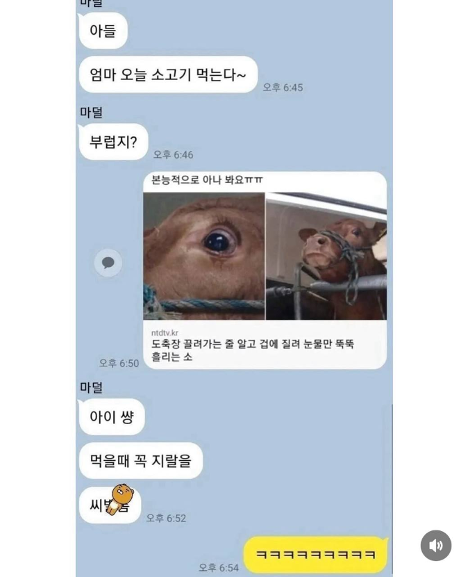1757324551_0_img.jpeg
