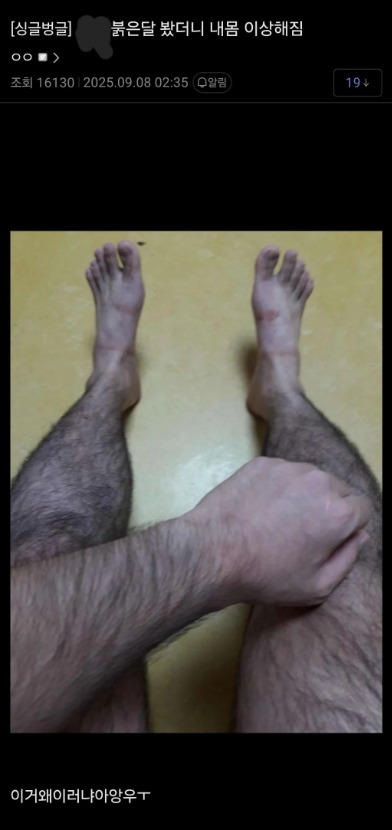 1757381011_0_img.jpeg