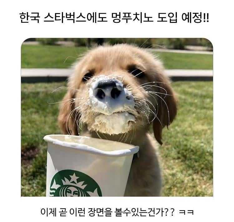1757387709_0_img.jpeg