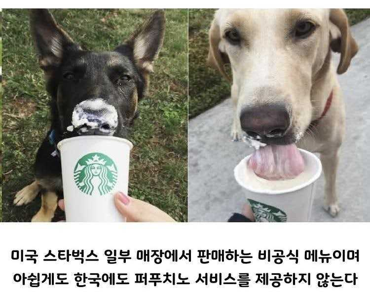 1757387728_0_img.jpeg