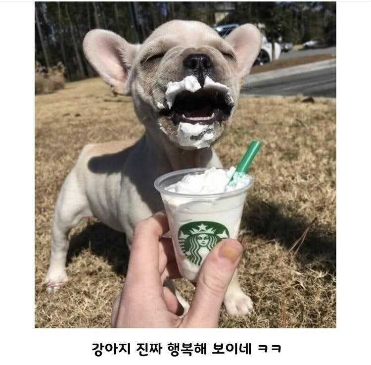 1757387735_0_img.jpeg