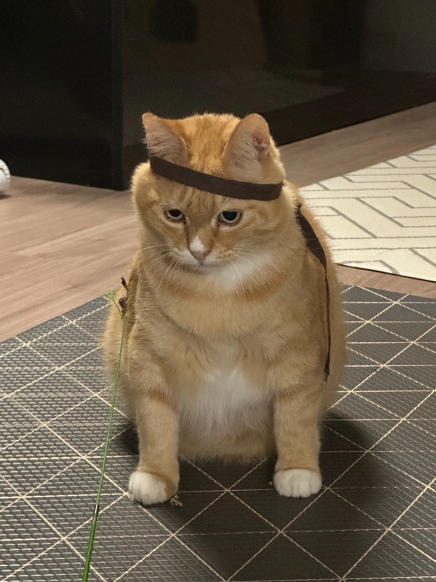 1757987045_0_img.jpeg