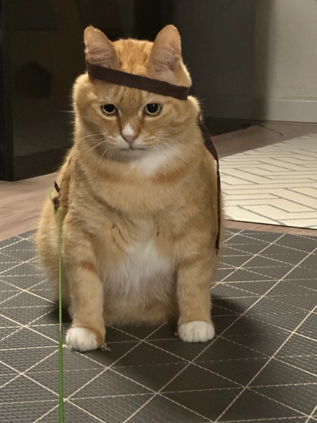 1757987048_0_img.jpeg