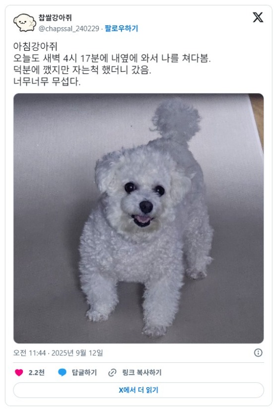 1757987087_0_img.jpeg