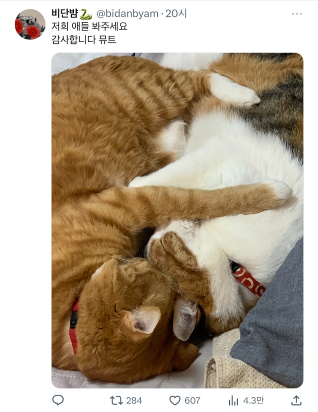 1757987636_0_img.jpeg