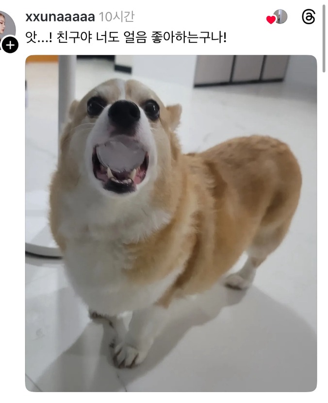 1757987674_0_img.jpeg