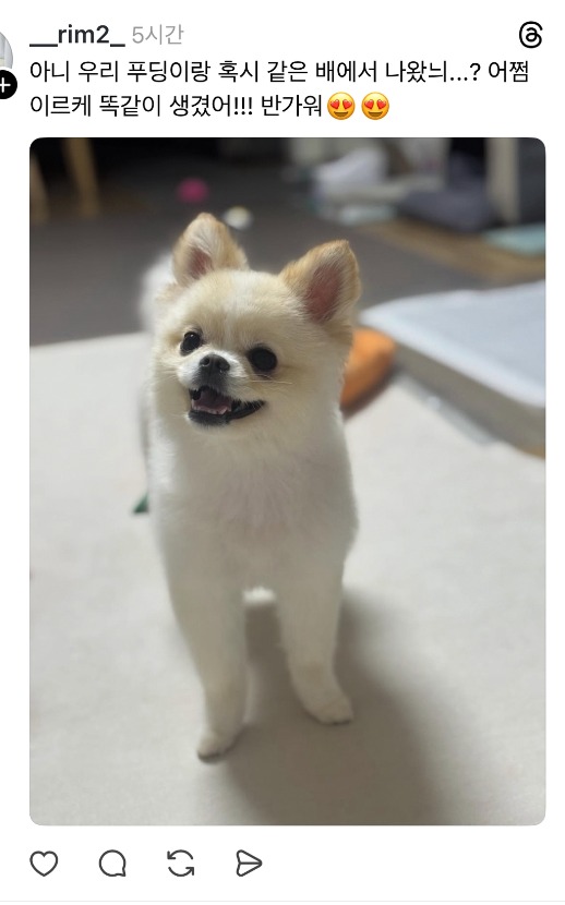 1757987681_0_img.jpeg
