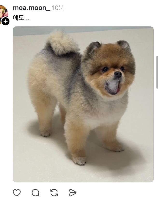 1757987684_0_img.jpeg