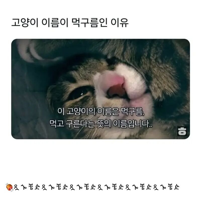 1757988701_0_img.jpeg