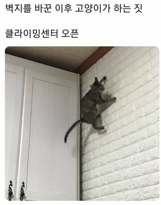 1758076371_0_img.jpeg