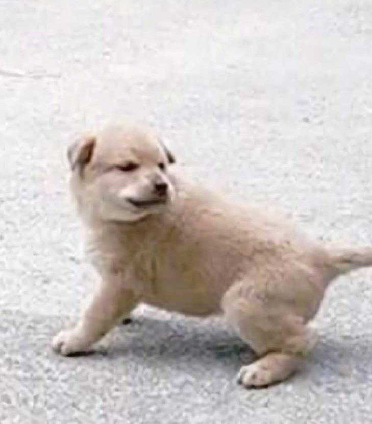 1758080248_0_img.jpeg