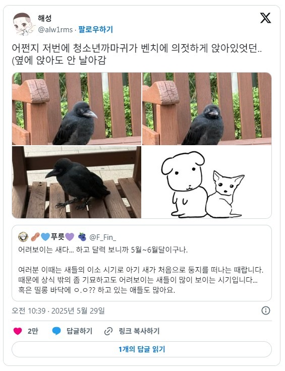 1758162669_0_img.jpeg