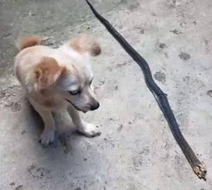 1758163805_0_img.jpeg