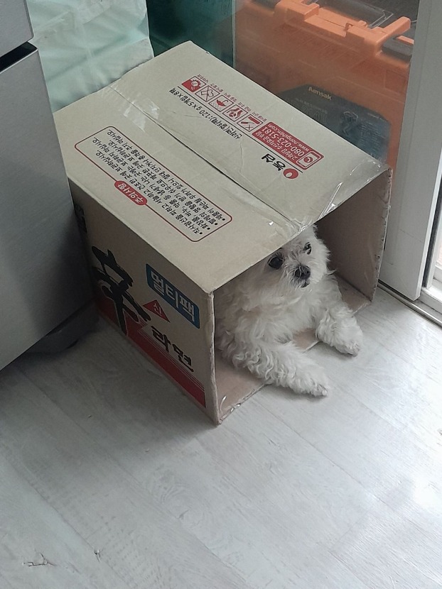 1758163956_0_img.jpeg