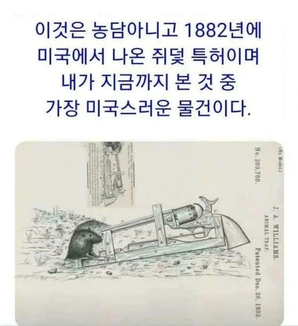 1758249068_0_img.jpeg