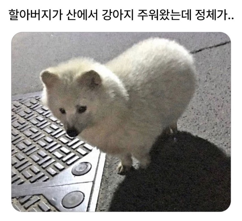 1758423605_0_img.jpeg