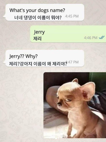 1758423793_0_img.jpeg