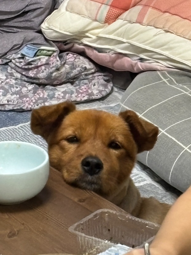 1758423892_0_img.jpeg
