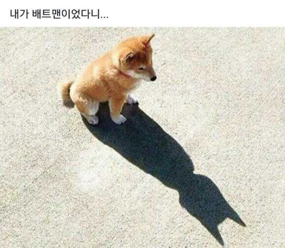 1758523819_0_img.jpeg