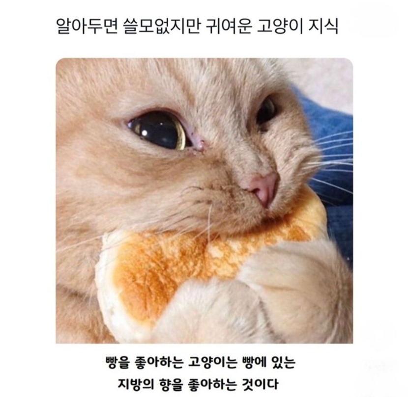 1758595923_0_img.jpeg