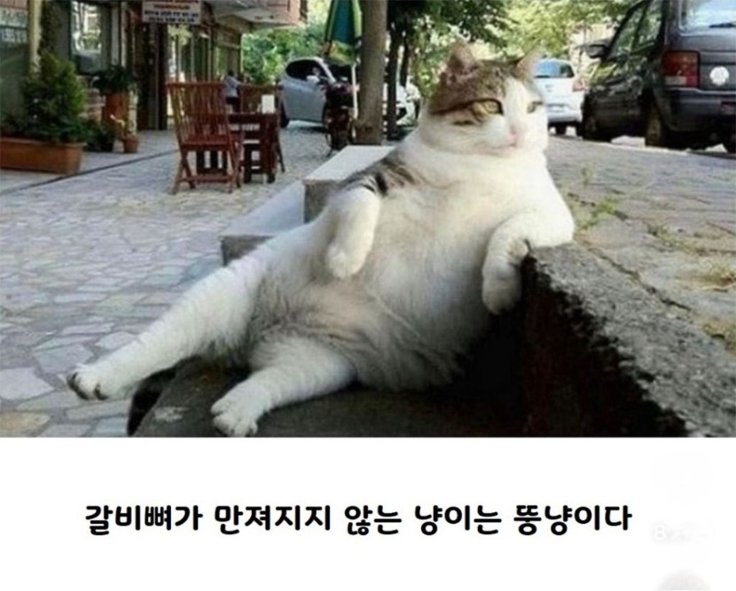 1758595939_0_img.jpeg