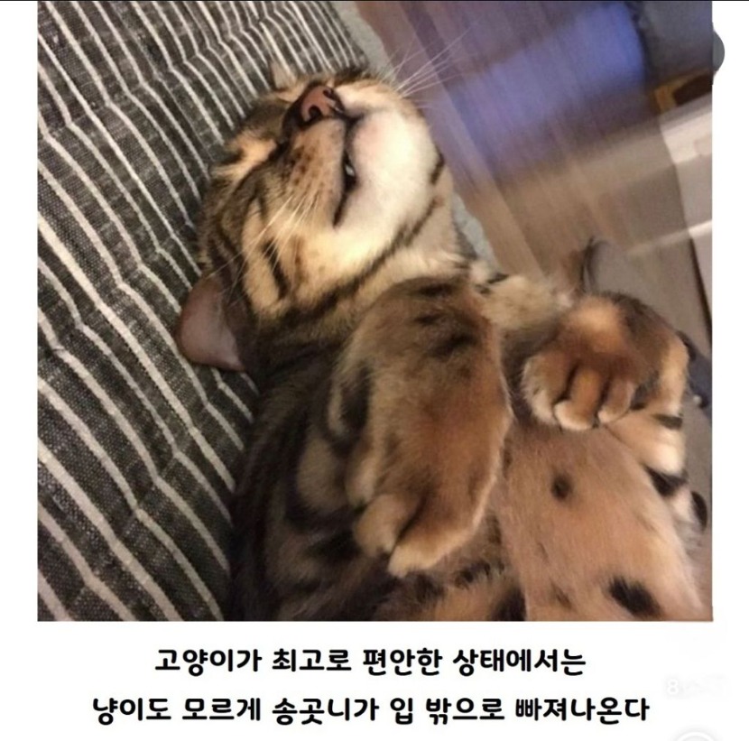 1758595943_0_img.jpeg