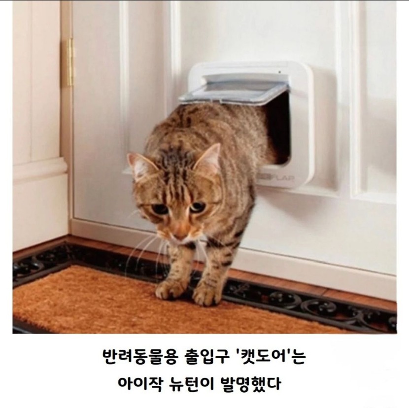 1758595951_0_img.jpeg