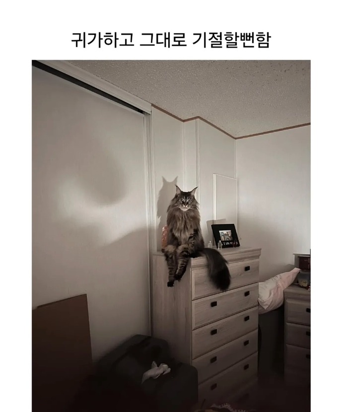 1758679674_0_img.jpeg