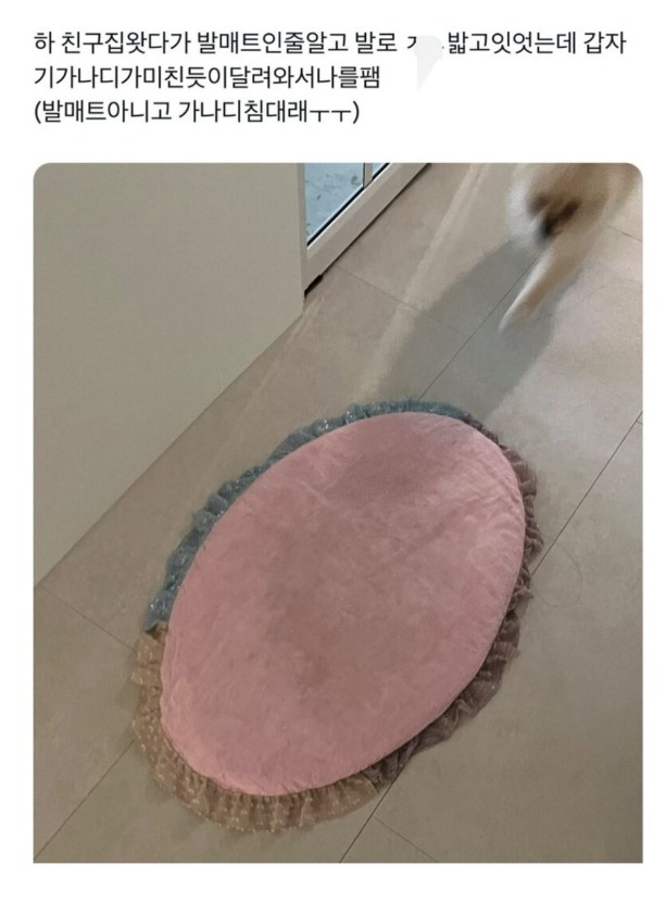 1758681607_0_img.jpeg