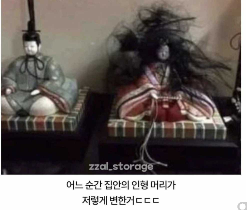1758685417_0_img.jpeg