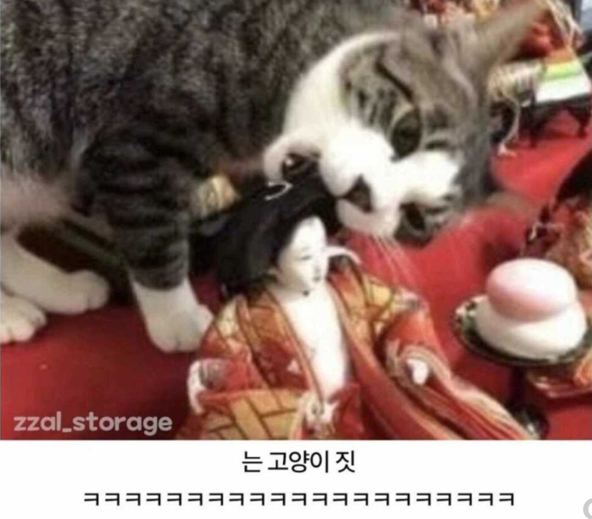 1758685435_0_img.jpeg